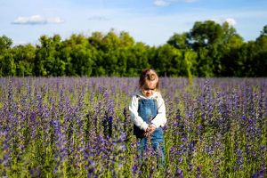 תמונת ילדה קטנה עומדת ומרכינה פניה בשדה פרחים- מתוך פוסט בנושא אוננות של ילדים קטנים זה חתיכת נושא באתר של מאור קפלן- מובילה תהליכי חינוך מיני במרחב הדתי