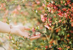 תמונת יד מלטפת את הפרחים - התוך פוסט בנושא אוננות נשית, באתר של מאור קפלן- מובילה תהליכי חינוך מיני במרחב הדתי