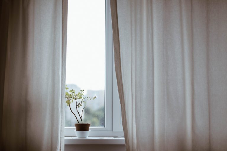 תמונת עציץ על אדן החלון ווילון לבן בצדדיו– מתוך פוסט חינוך לצניעות- מאור קפלן מובילה תהליכי חינוך מיני במרחב הדתי